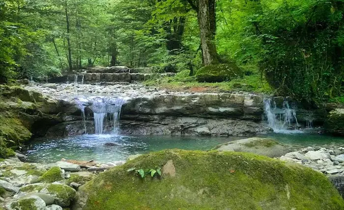 شیرود مازندران، آبشار با ارتفاع کوتاه و حوضچه های کوچک در دل جنگل های سرسبز 