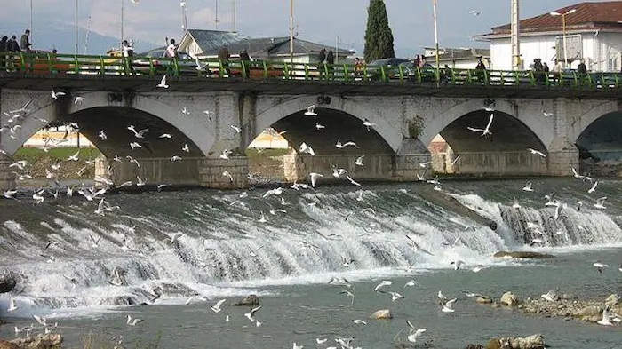 شیرود رامسر، پل قدیمی بر روی رودی خروشان و پرندگان درحال پرواز 