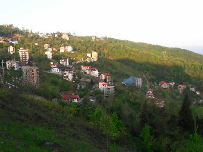 خانه های روستای در محوطه جنگلی روستای اربکله 6263213153415