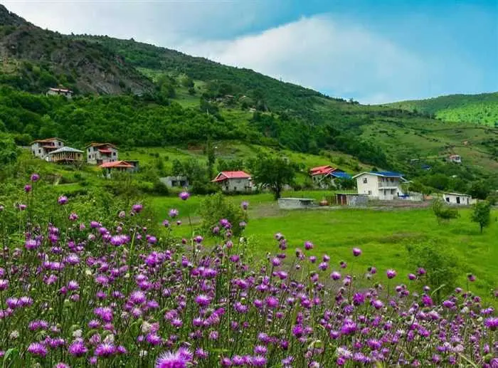 محوطه سرسبز و رنگی خانه های ییلاقی روستای گرسماسر 4545458