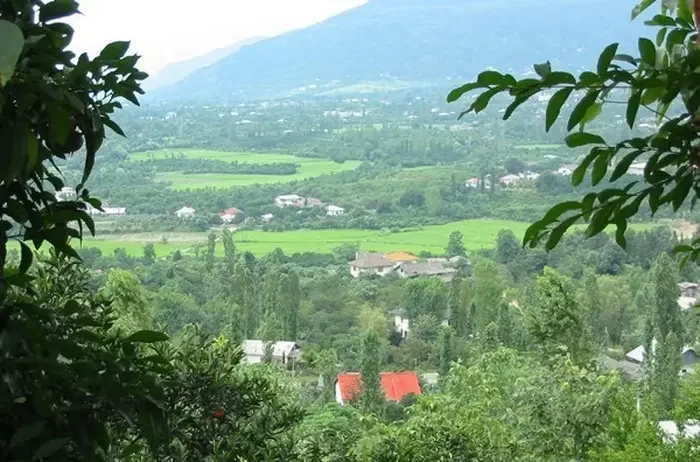 ویلاهای مسکونی با محوطه سرسبز در سادات شهر 45445