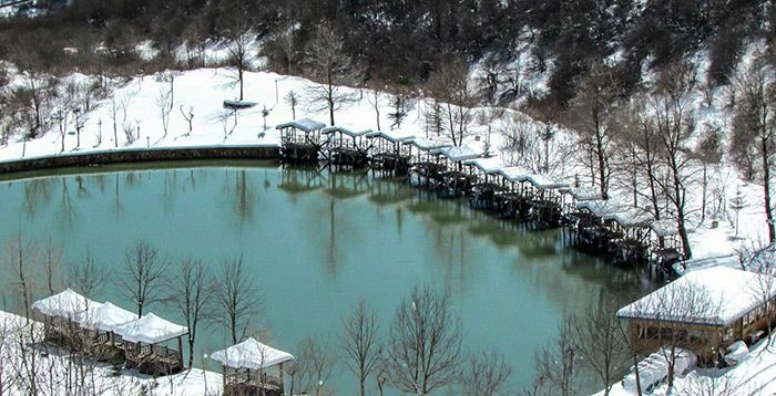 نمایی از دریاچه قو در فصل زمستان و پوشیده از برف 143535874385