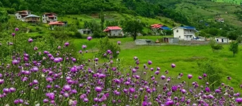 ویلاهای روستایی با محوطه جنگلی سر سبز روستای اربکله 5154154165