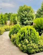 محوطه سنگ فرش شده و باغچه های سرسبز ویلا در چابکسر