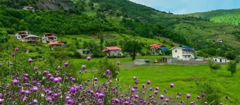 محوطه سرسبز و رنگی خانه های ییلاقی روستای گرسماسر 4545458
